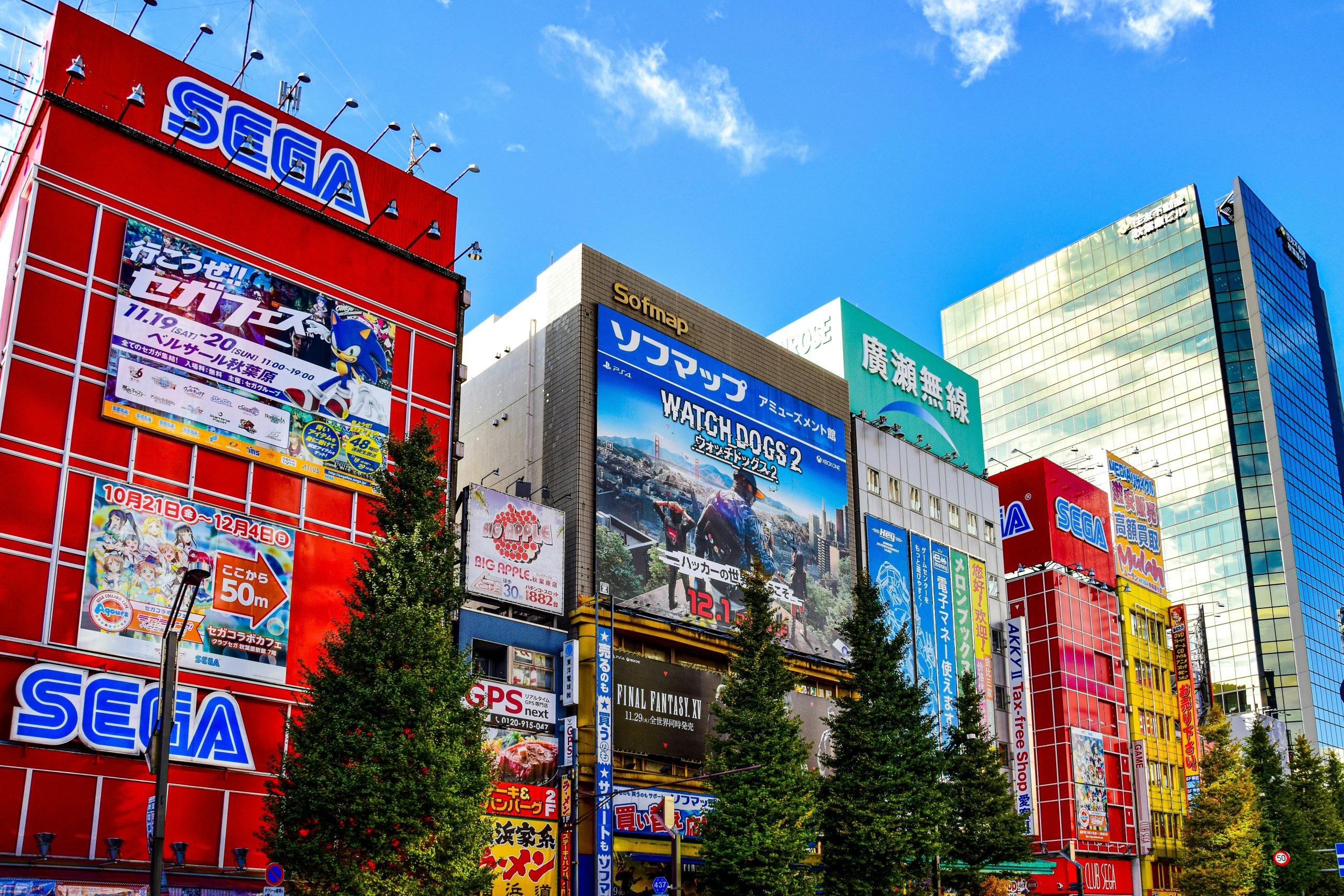 que hacer en tokio en 3 dias 05