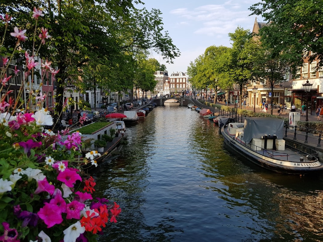 amsterdam cultura​ 04
