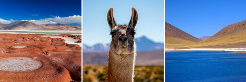 Conocé paisajes únicos en Atacama, Chile