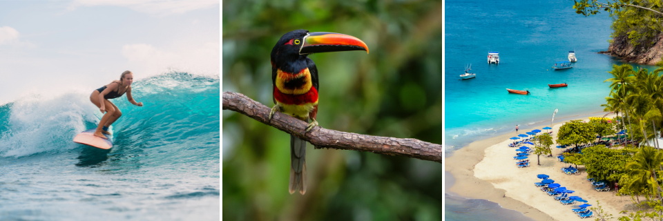 Surf, avistamiento de aves y playa en Costa Rica